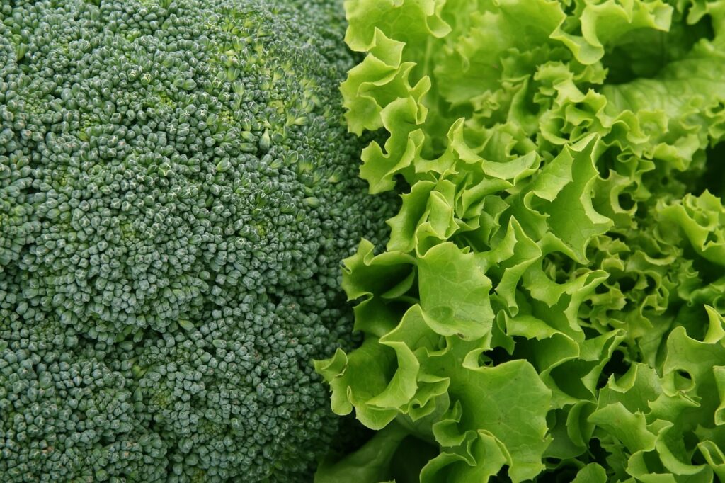 アトピーにいい野菜を知って、健康的な食生活を実現するには？